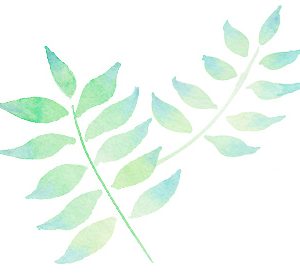 Groene bladeren als achtergrondafbeelding bij de aktie reservatie Makkelijke Moestuin mix en andere produkten eind maart - begin april 2024