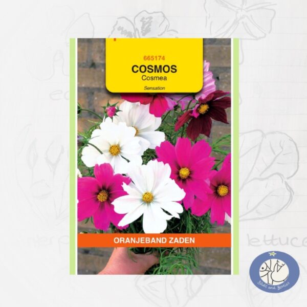 productafbeelding 8528 los zakje bloemen zaden Cosmos